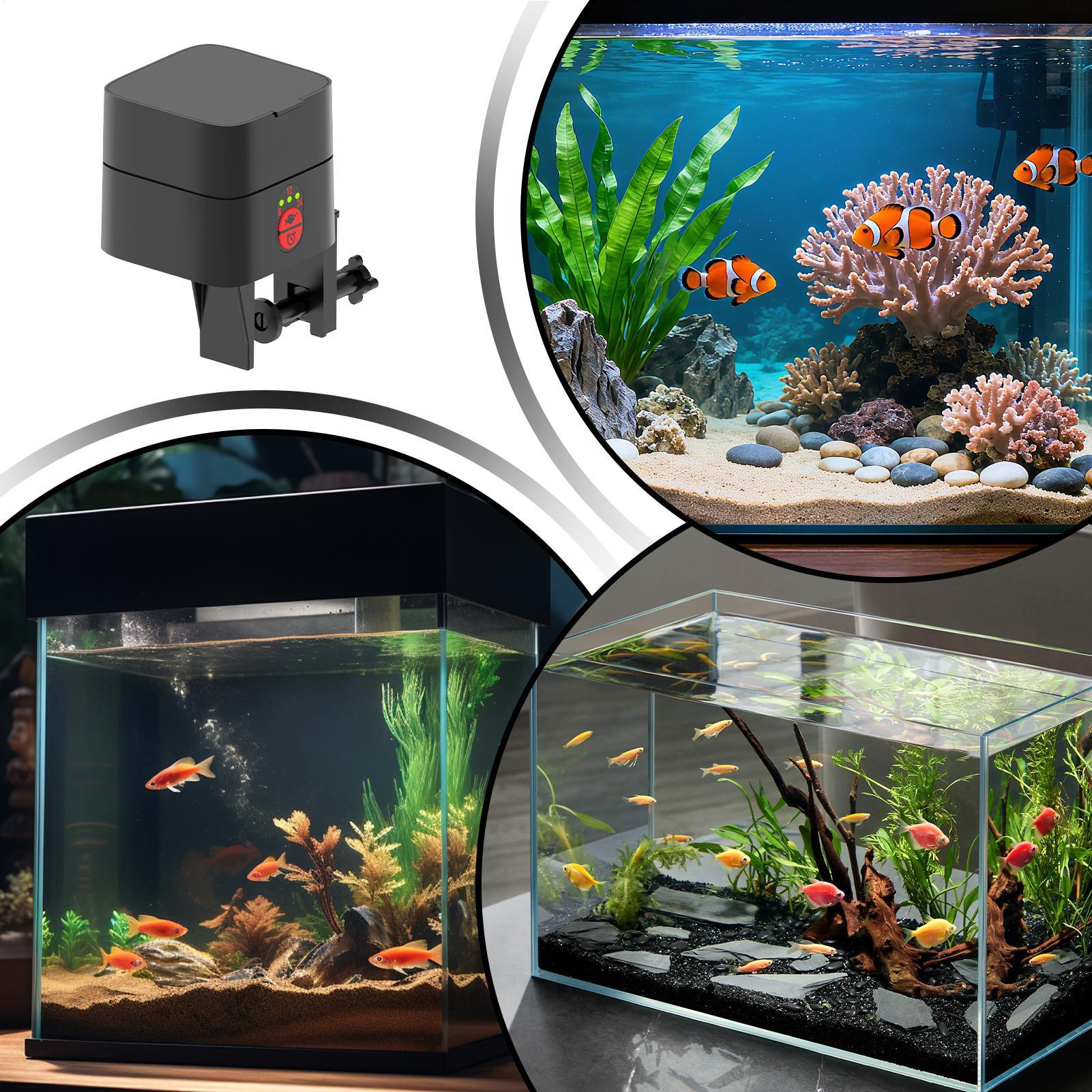موزع طعام أوتوماتيكي للأسماك ف - مراجعة Fishing Line Dispenser وسعره